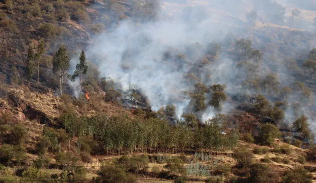 Incendio consumió 40 hectáreas de vegetación. Foto: OGRS-CUSCO