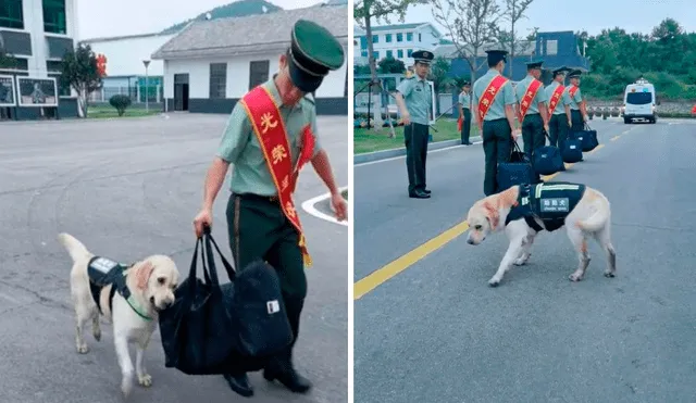 El labrador entrenado en el ejército tuvo que separarse de su adiestrador porque ya había cumplido su tiempo de servicio. Foto: captura de Facebook/Policía Armada de Anhui