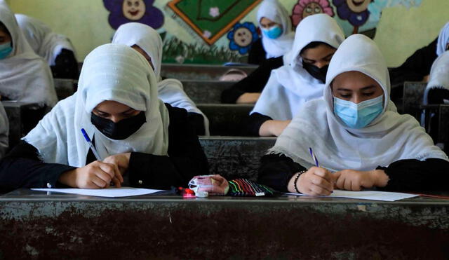 El portavoz talibán, Bilal Karimi, insistió el sábado 18 de septiembre que la apertura de las escuelas femeninas se producirá "en un tiempo". Foto: AFP