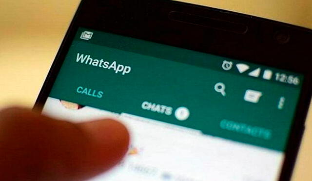 Conoce cómo archivar chats o silenciar notificaciones en WhatsApp. Foto: FMDOS