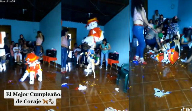 Perrito se divierte con su piñata de Paw Patrol. Foto: captura de TikTok