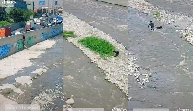 El joven logró cruzar la corriente del río para acercarse al can. Foto: captura de TikTok