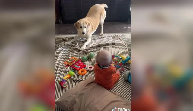 La madre del menor no dejó pasar este momento y los grabó juntos. Foto: captura de TikTok