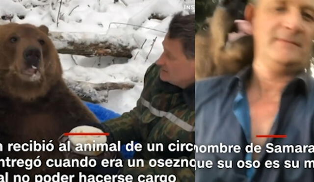 Un hombre en Rusia afirma que un oso de 250 kg es su mejor amigo. Foto: captura video/CNN