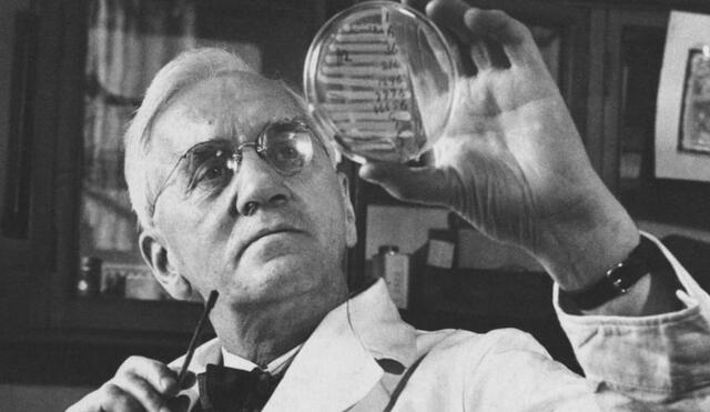 Un día como hoy, el científico escocés Alexander Fleming desarrolló, a partir de un descubrimiento casual, la penicilina, el antibiótico que revolucionó el mundo de la medicina. Foto: EFE