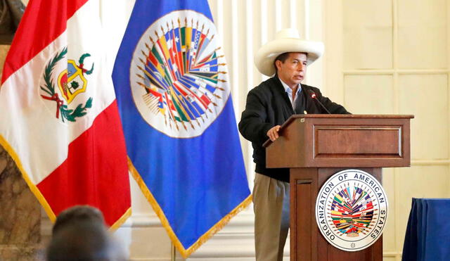 Castillo Terrones dirigió su primer discurso ante la OEA el 20 de septiembre en Washington. Foto: EFE