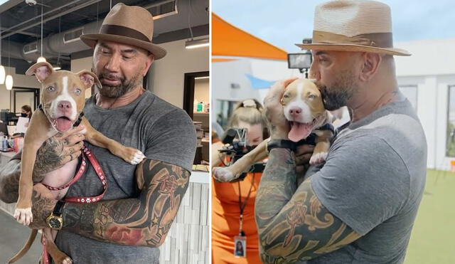 Dave Bautista compartió la historia de Penny, su nueva perrita adoptada. @davebautista/Instagram