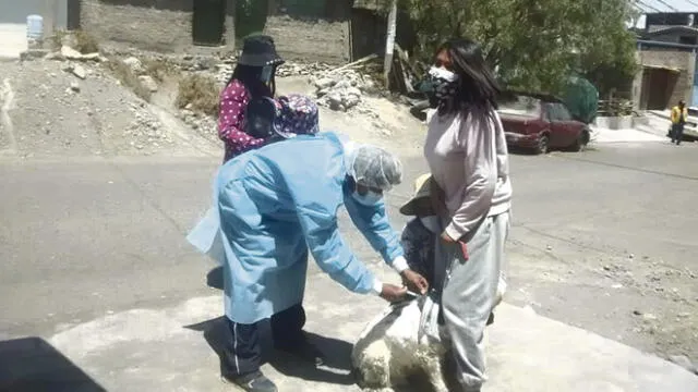 Necesario. Se pide a población vacunar a sus mascotas. Foto: La República