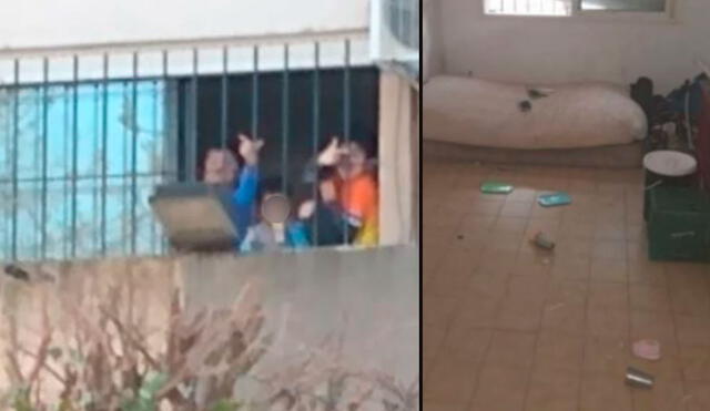 Tras el exitoso rescate, los niños fueron alimentados, aseados y trasladados al Hospital Sor María Ludovica de La Plata, donde permanecen en observación. Foto: captura-TN / Video: TN