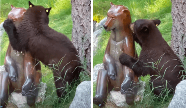 El oso envolvió sus patas alrededor de la estatua y le dio un amoroso abrazo antes de acariciar su barbilla y besarla. Foto: captura de Facebook