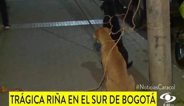 En Bogotá dos perros fueron retirados con esfuerzo policial tras el suceso. Foto: captura de video
