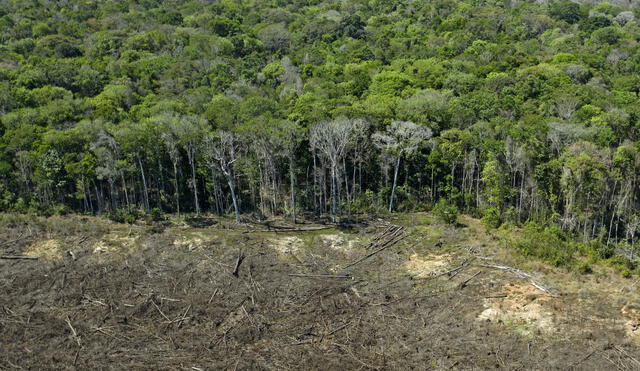 Vista aérea de un área deforestada cerca de Sinop, estado de Mato Grosso, Brasil. Foto: Florian Plaucheur / AFP