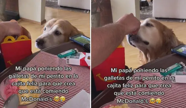 El perrito comió sus galletas sin problemas al creer que disfrutaba de unas papas fritas. Foto: captura de TikTok