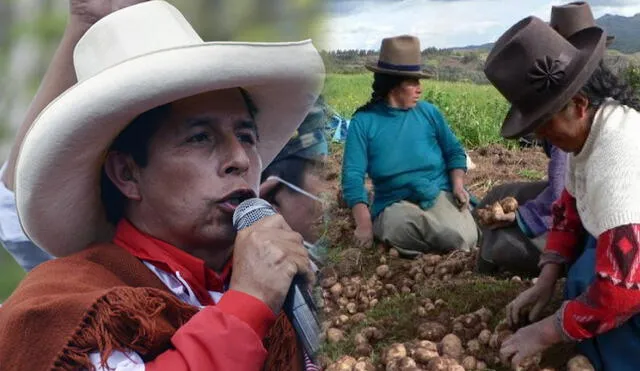 Más de 700.000 productoras se beneficiarán con programa anunciado en lanzamiento de la Segunda Reforma Agraria.