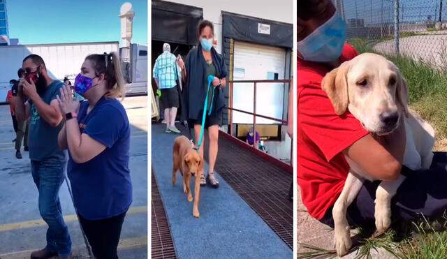 Los trabajadores de un refugio armaron una ceremonia para despedirse de unos perritos, los cuales iban a ser trasladados a sus nuevos hogares con sus dueños. Foto: captura de Facebook