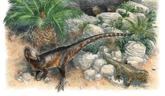 Por los restos fósiles hallados, se cree que el "dragón jefe" medía un metro de largo y habría vivido hace unos 200 a 215 millones de años. Foto: James Robbins