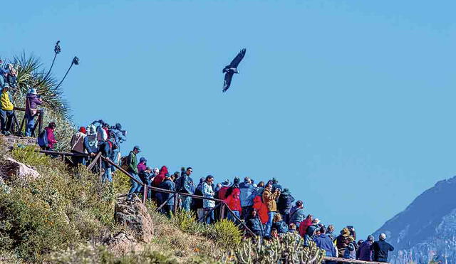 La historia de buenas prácticas del turismo rural y comunitario del distrito de Sibayo llevó al Colca hacia el mayor galardón. Foto: archivo LR