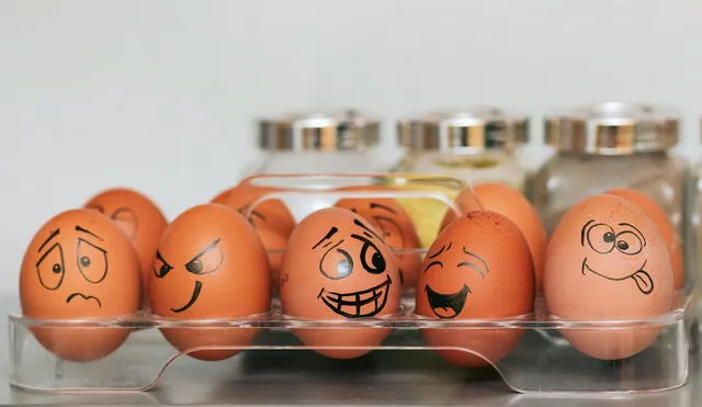 El huevo es un ingrediente imprescindible cuando se trata de la alimentación humana y la gastronomía. Foto: Hipertextual