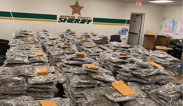 Paquetes con 770 libras (350 kilos) de marihuana de alta calidad tienen un valor de mercado de dos millones de dólares. Foto: Brevard County Sheriff's Office/EFE