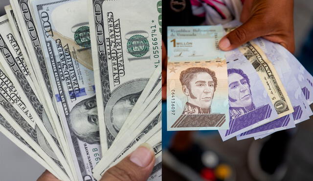 Conoce el precio del dólar en Venezuela hoy, domingo 10 de octubre, según Dólar Monitor y DolarToday. Foto: composición GLR / EFE