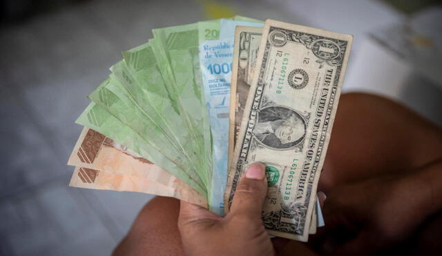 Conoce el precio del dólar en Venezuela hoy, según Dólar Monitor y DolarToday. Foto: Efe.