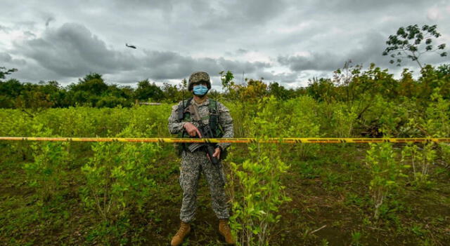 Un soldado de Colombia vigila una plantación de coca el 30 de diciembre de 2020. Foto: AFP