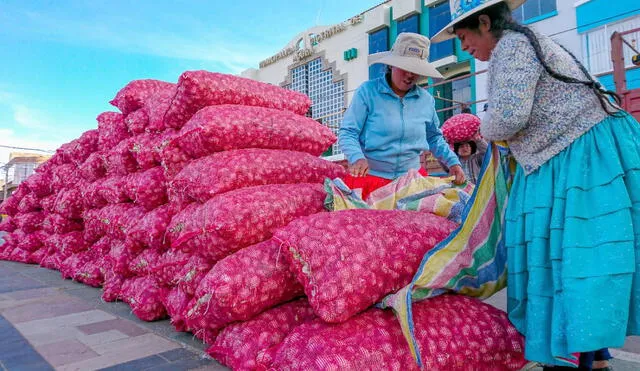 Puno. Acora apunta a convertirse en un gran productor de ajos de altura. Foto: Municipalidad de Acora