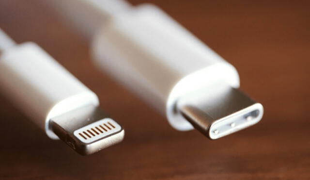 Diferencias entre el cable lightning de Apple y cable USB tipo C. Foto: iPadizate