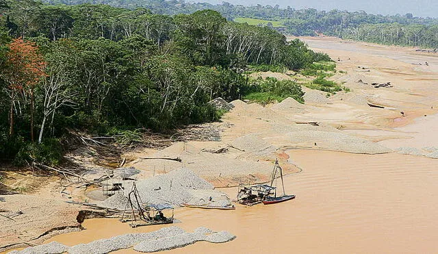 En Brasil, la deforestación masiva se concentra actualmente en torno a las principales carreteras que atraviesan los estados de Acre, Rondonia y Mato Grosso. Foto: EFE