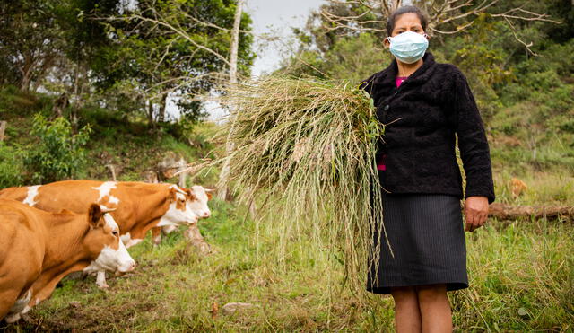 Organizaciones agrarias lideradas y conformadas en su mayoría por mujeres, tendrán preferencia en los procesos de atención de planes de negocio. Foto: Agroideas.