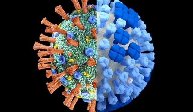 El virus de la gripe puede converger con la situación crítica de COVID-19 en EE. UU., causada por la propagación de la variante Delta. Foto: MedPage Today