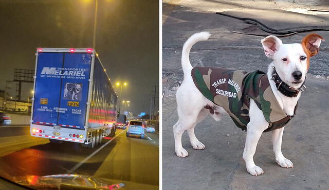 Una joven captó a un camión que se trasladaba por una carretera de nuestro país, pero lo que llamó su atención fue que estaba decorado con la imagen de un can. Foto: Daffi Zavaleta/ Facebook