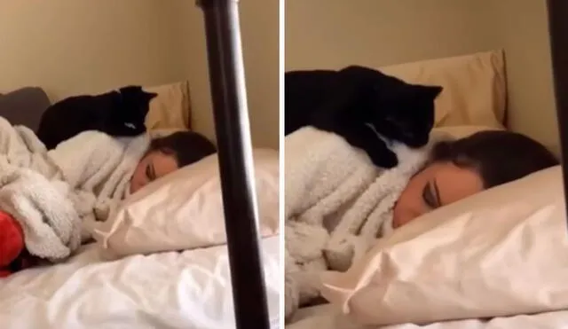 Una joven se quedó dormida a consecuencia del cansancio por el trabajo; sin embargo, no imaginó que su gatito se iba a molestar. Foto: captura de TikTok