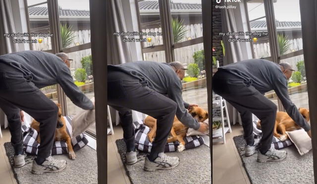 El padre de familia se acercó a su mascota con el objetivo de brindarle un cojín para que duerma más cómodo. Foto: captura de TikTok