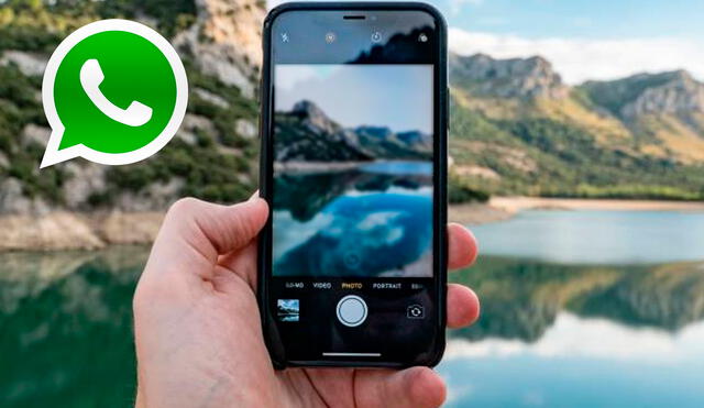 Volver a actualizar WhatsApp desde la App Store o Google Play, así como eliminar la memoria caché son algunos de los métodos para solucionar el enfoque de la cámara. Foto: El País - composición La República