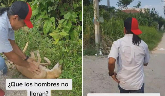 Miles de usuarios quedaron conmovidos al conocer esta historia. Foto: captura de TikTok