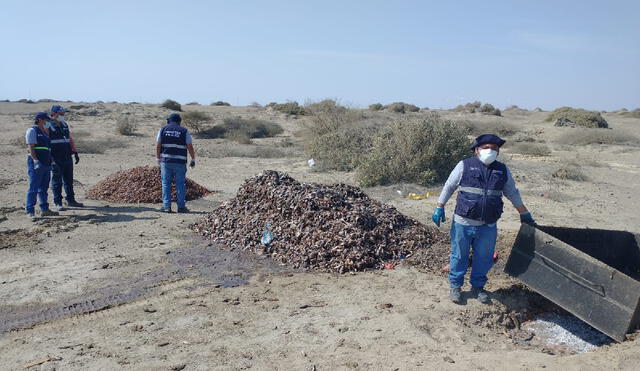 En el predio se observó el secado de residuos de pescado en cuatro mantas a la intemperie. Foto: FEMA Sullna