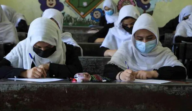 El 18 de septiembre los talibanes anunciaron el regreso a clases a los varones en todos los niveles, mientras que a las mujeres solo se les permitió el acceso a nivel primaria. Foto: AFP