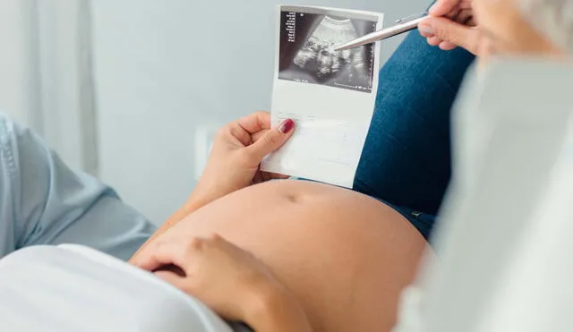 El equipo resaltó la efectiva lectura de la composición microbiana en la vagina y su potencial utilidad para predecir los riesgos en el embarazo. Foto: Health Services of North Texas