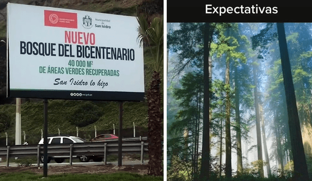 Un clip muestra lo que un joven esperaba encontrar al visitar las nuevas áreas verdes de la Costa Verde. Foto: Captura de TikTok