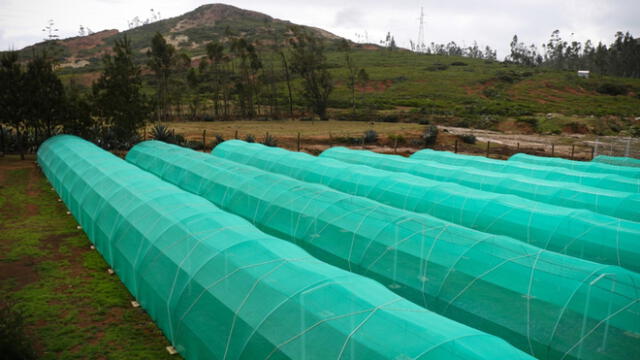 PEOT construyó vivero forestal en el distrito de Sexi, provincia de Santa Cruz. Foto: PEOT