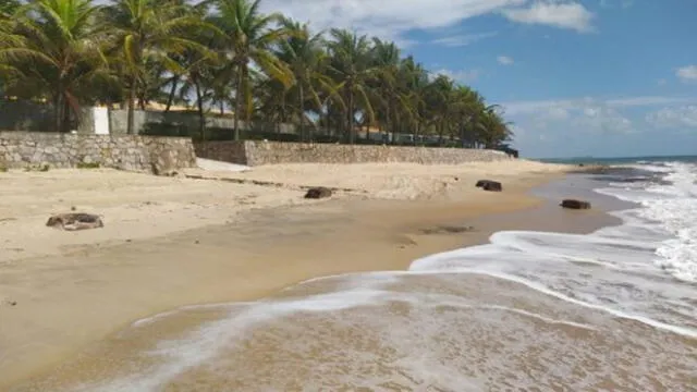 Cajas vistas en la playa de Pituba, en Coruripe, en la costa de Brasil.  Foto: Do Globo