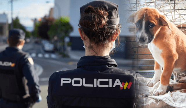 Dos policías, un oficial y una agente, aseguran que lo ocurre "una injusticia", en su centro de trabajo debido a su labor rescatando animales. Foto: composición/Policía España-Pets Life