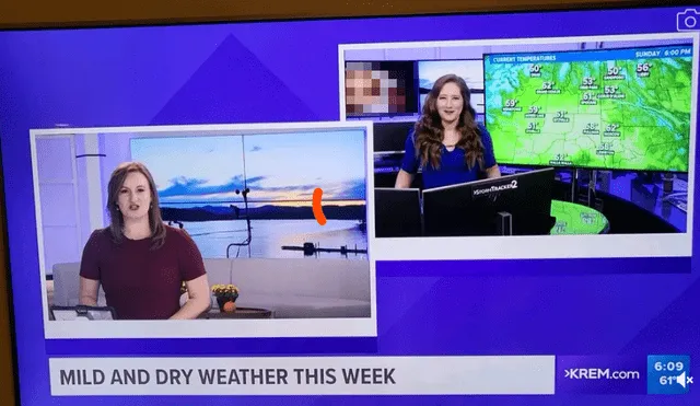 La presentadora Michelle Boss se encontraba entregando un informe sobre el clima cuando ocurrió el incidente. Foto: captura de Twitter/@danielwinlander