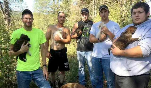 La historia comenzó cuando este grupo de amigos estaba al interior de una cabaña en el bosque y de un momento a otro apareció la can. Foto: Facebook