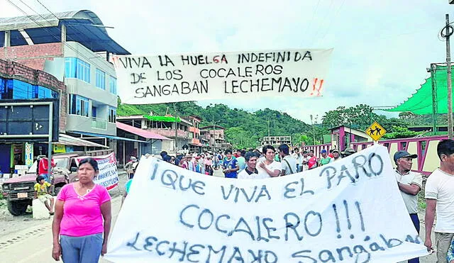 San Gabán. Con bloqueos en la carretera Interoceánica, cocaleros reclaman se detenga la erradicación de la hoja de coca. Foto: difusión