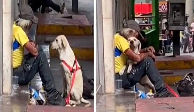 Un joven detuvo su caminata al ser testigo de una conmovedora escena entre un vagabundo y su querida mascota. Foto: captura de Facebook