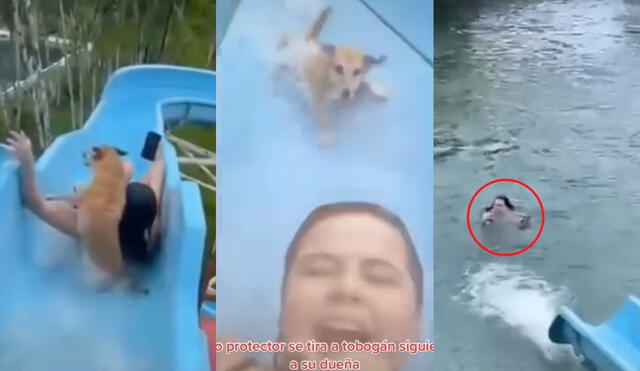 En la piscina, el perrito buscó desesperadamente a su dueña. Foto: captura de TikTok