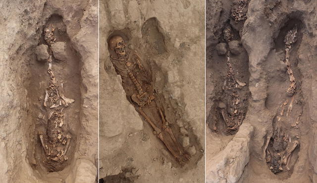Los cuerpos fueron hallados en un templo preincaico de Lambayeque, Perú. Fotos: Museo Tumbas Reales de Sipán / AFP