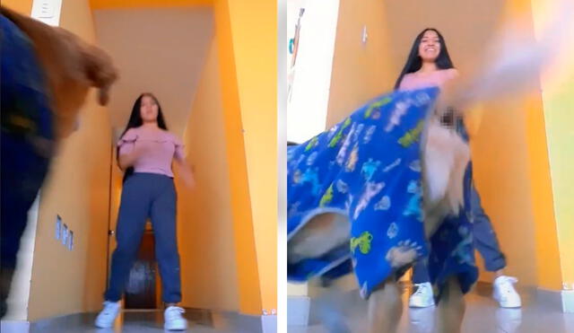 Perrito mueve la cola al ritmo de la música y opaca a su dueña. Foto: captura de TikTok